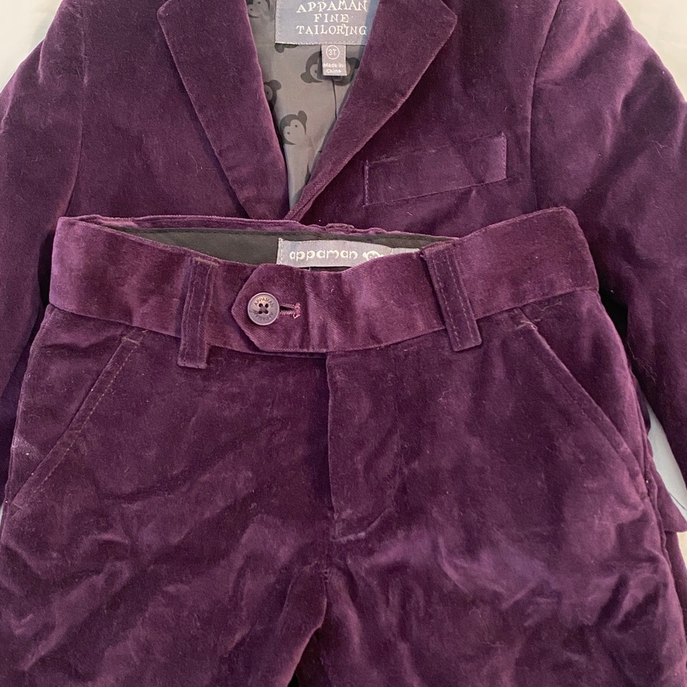 Appaman Kids Velvet Blazer and Pants Suit - Picture 2 of 7